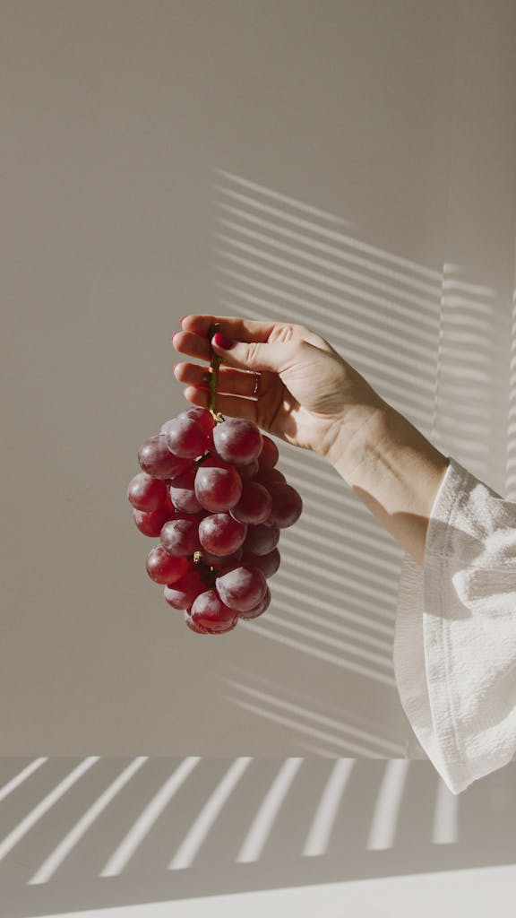 Person Holding Red Round Fruit